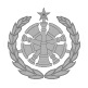 9a - Command Fire Chief